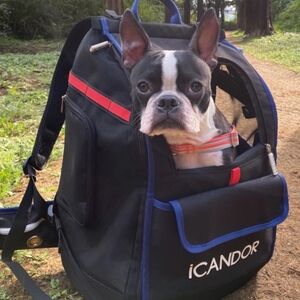 Icandor Jige Dog Backpack